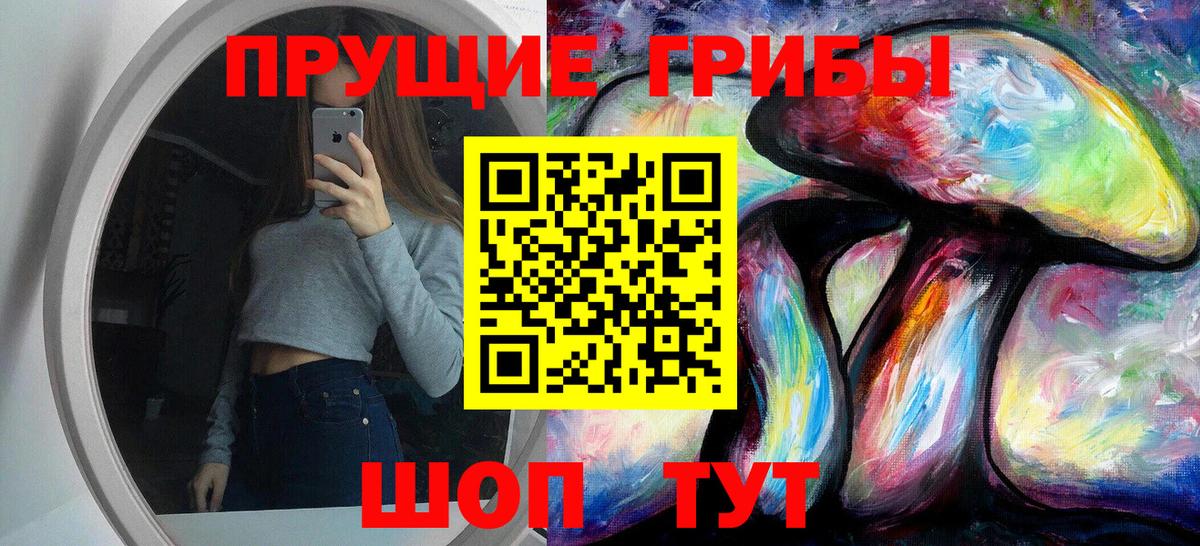 Псилоцибиновые грибы Psilocybe  Вход с VPN  Галлюциногенные грибы Psilocybine cubensis  Советский 
